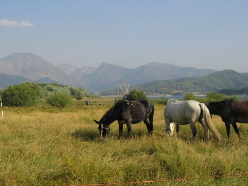trekking con i muli-48.JPG